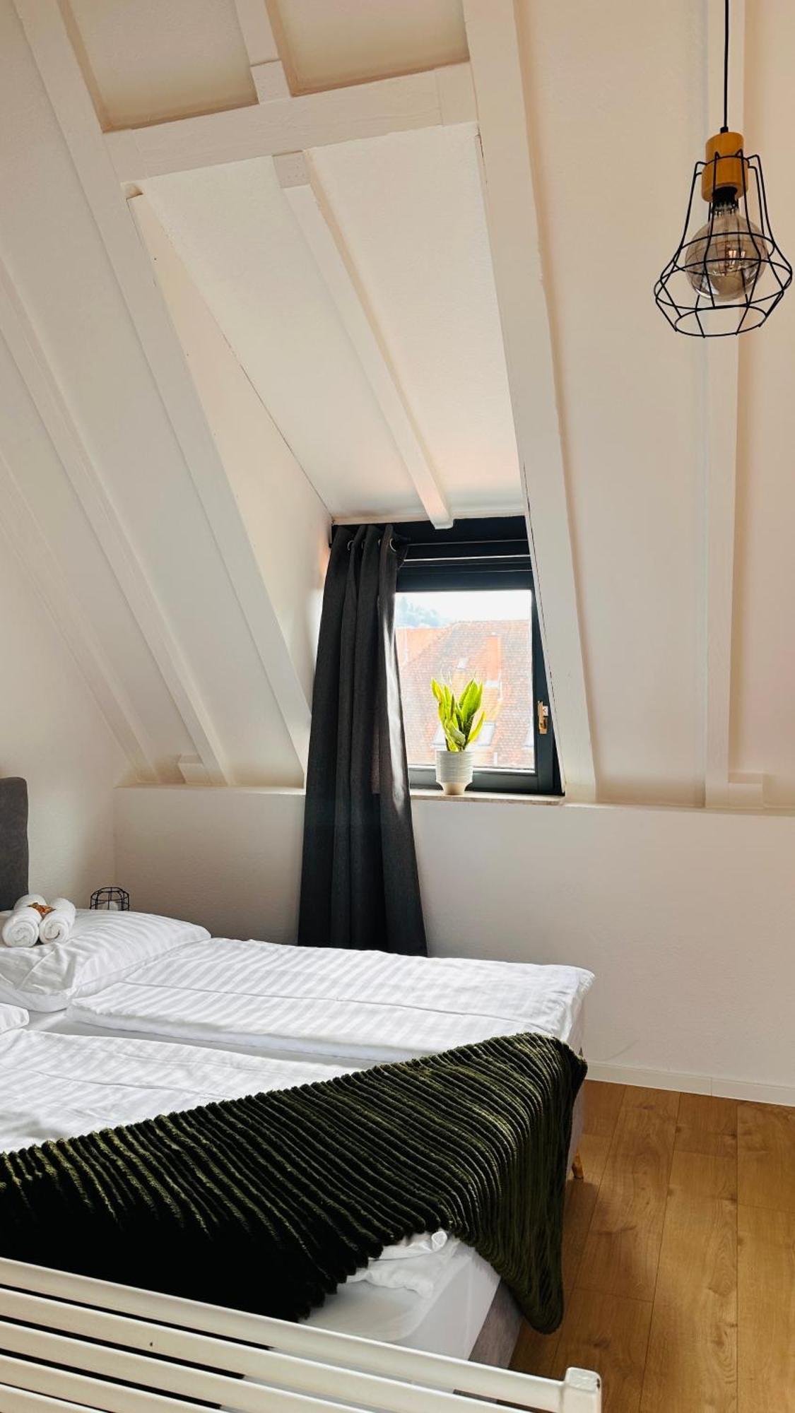Amao-Green I 90Qm I Penthouse Maisonette Mit Rooftop I City Center I King-Size Betten Lahr  Dış mekan fotoğraf